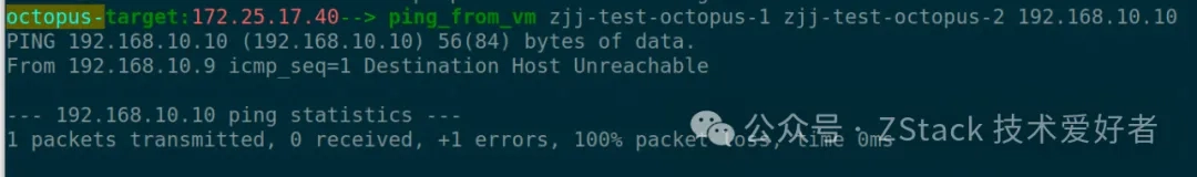 ping_from_vm starts the ping program from inside the vm